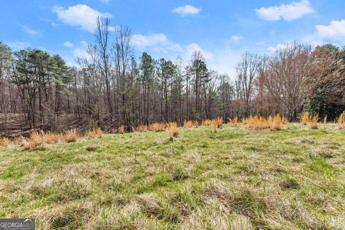 95 Cloudland Park Road Dahlonega GA 30533