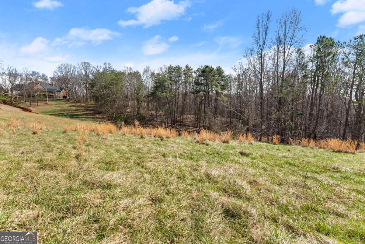 95 Cloudland Park Road Dahlonega GA 30533