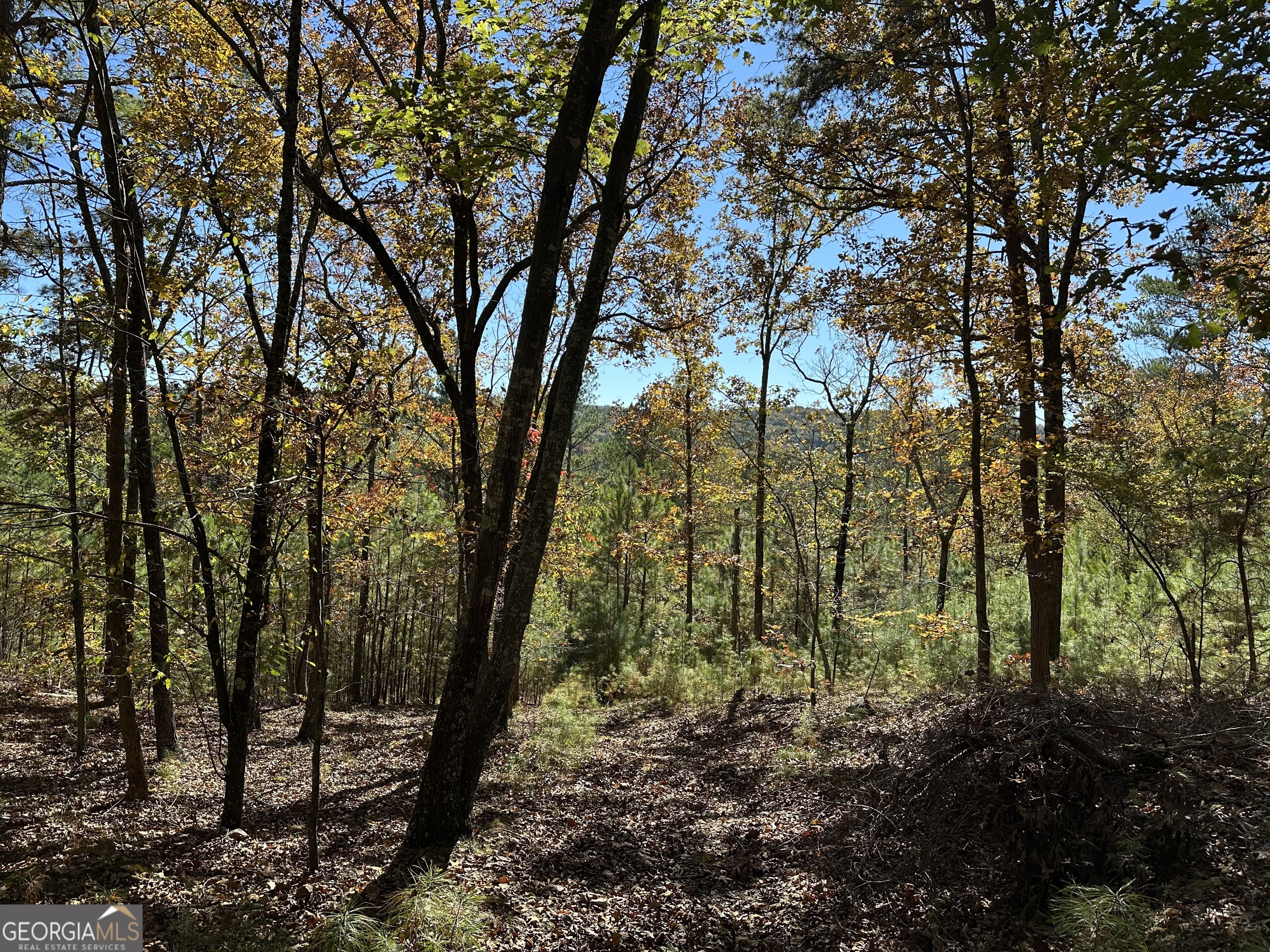 Trail 2 Culp Lake Road Cedartown GA 30125