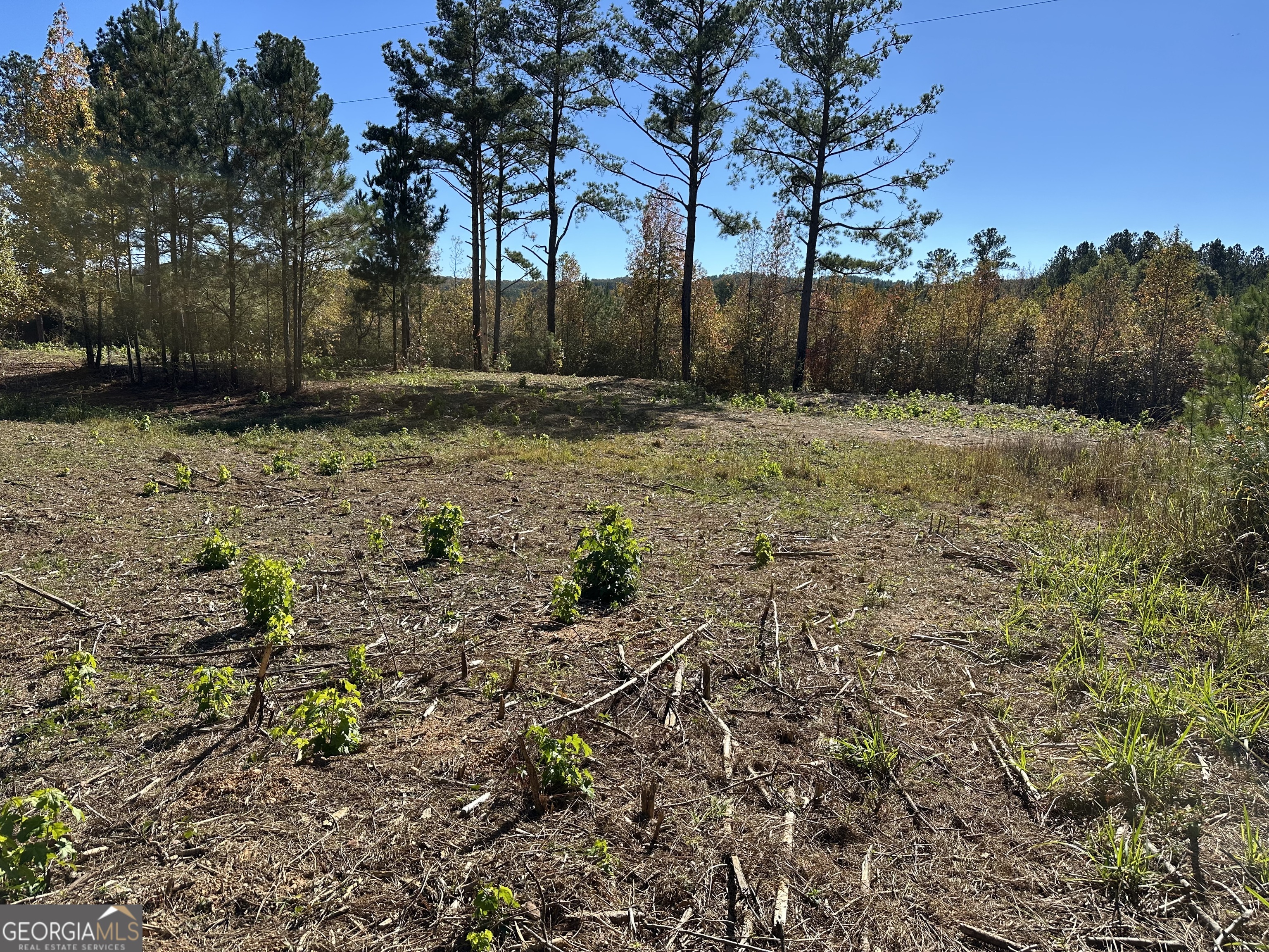Trail 2 Culp Lake Road Cedartown GA 30125
