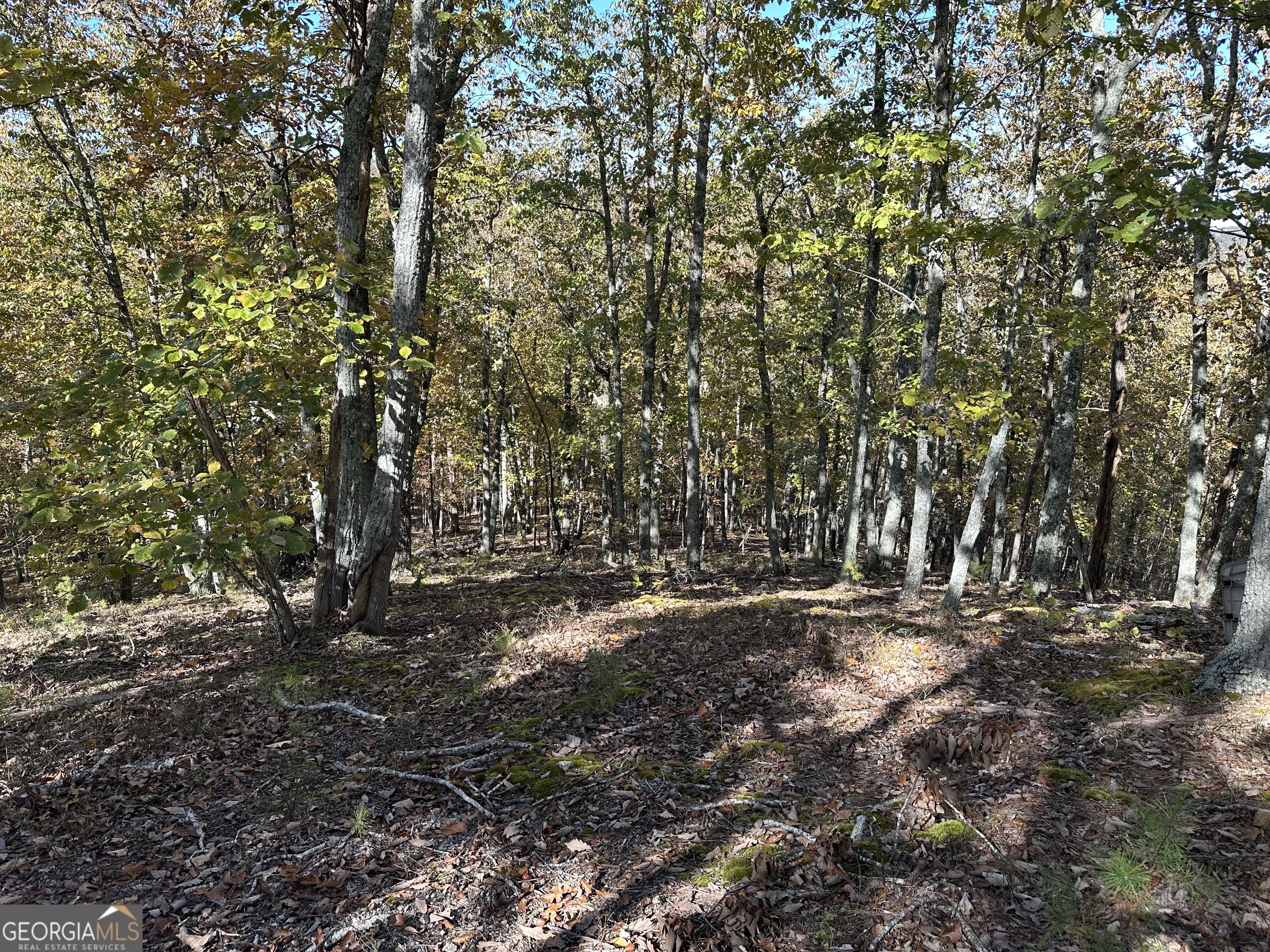 Trail 2 Culp Lake Road Cedartown GA 30125