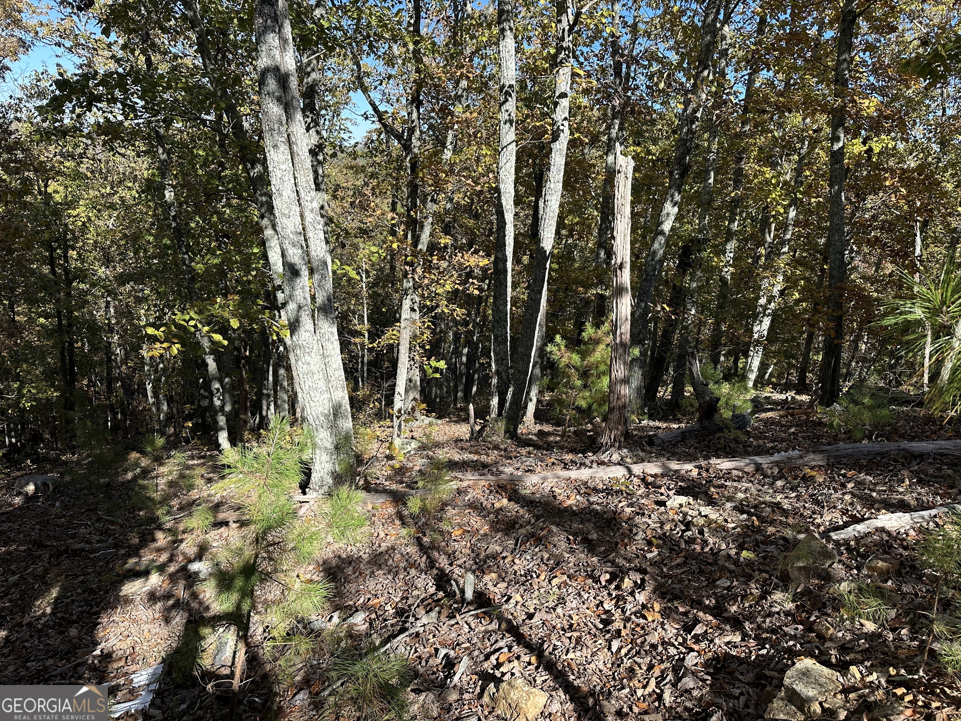 Trail 2 Culp Lake Road Cedartown GA 30125