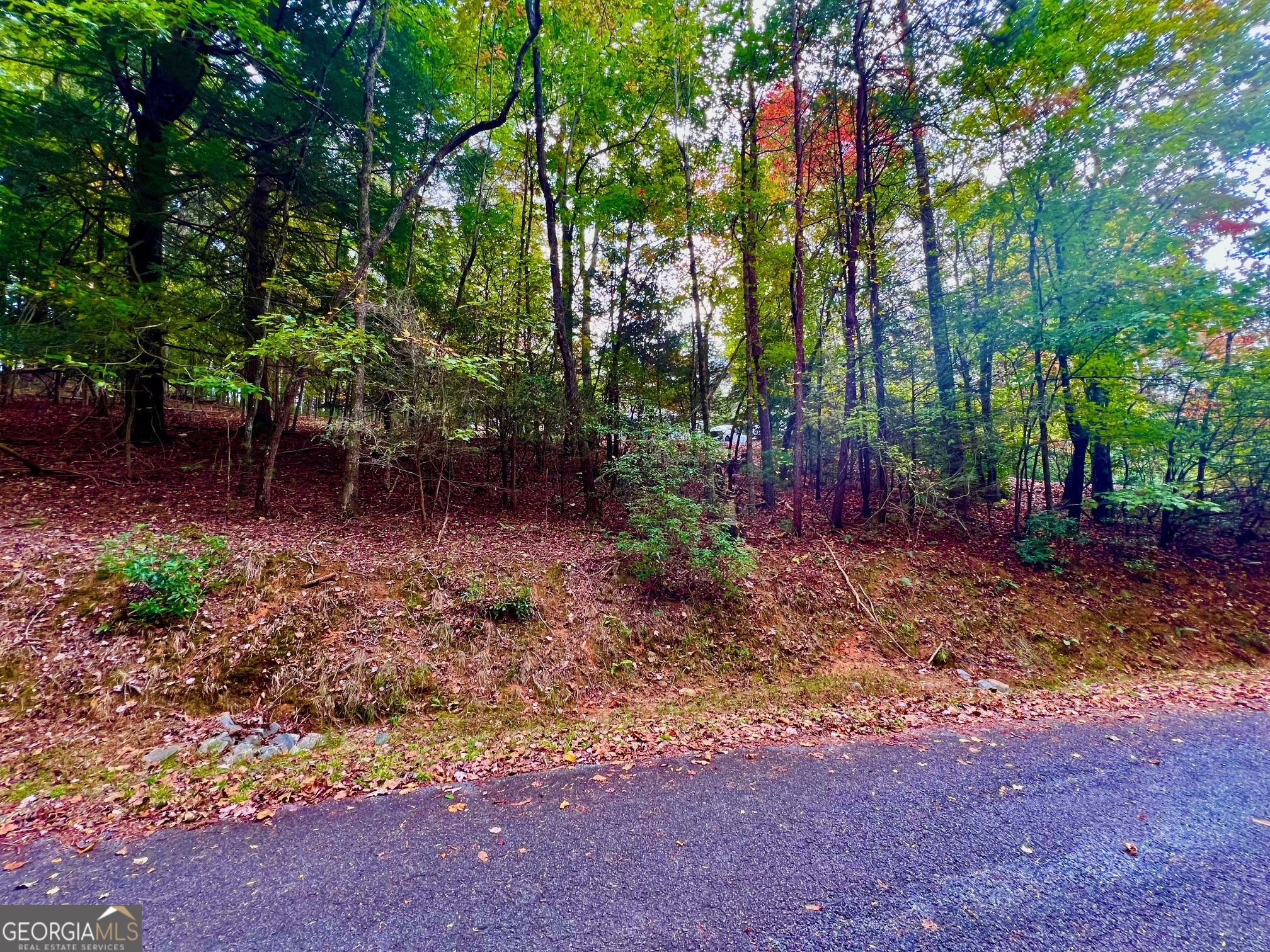 548 N Satsuma Court Ellijay GA 30540