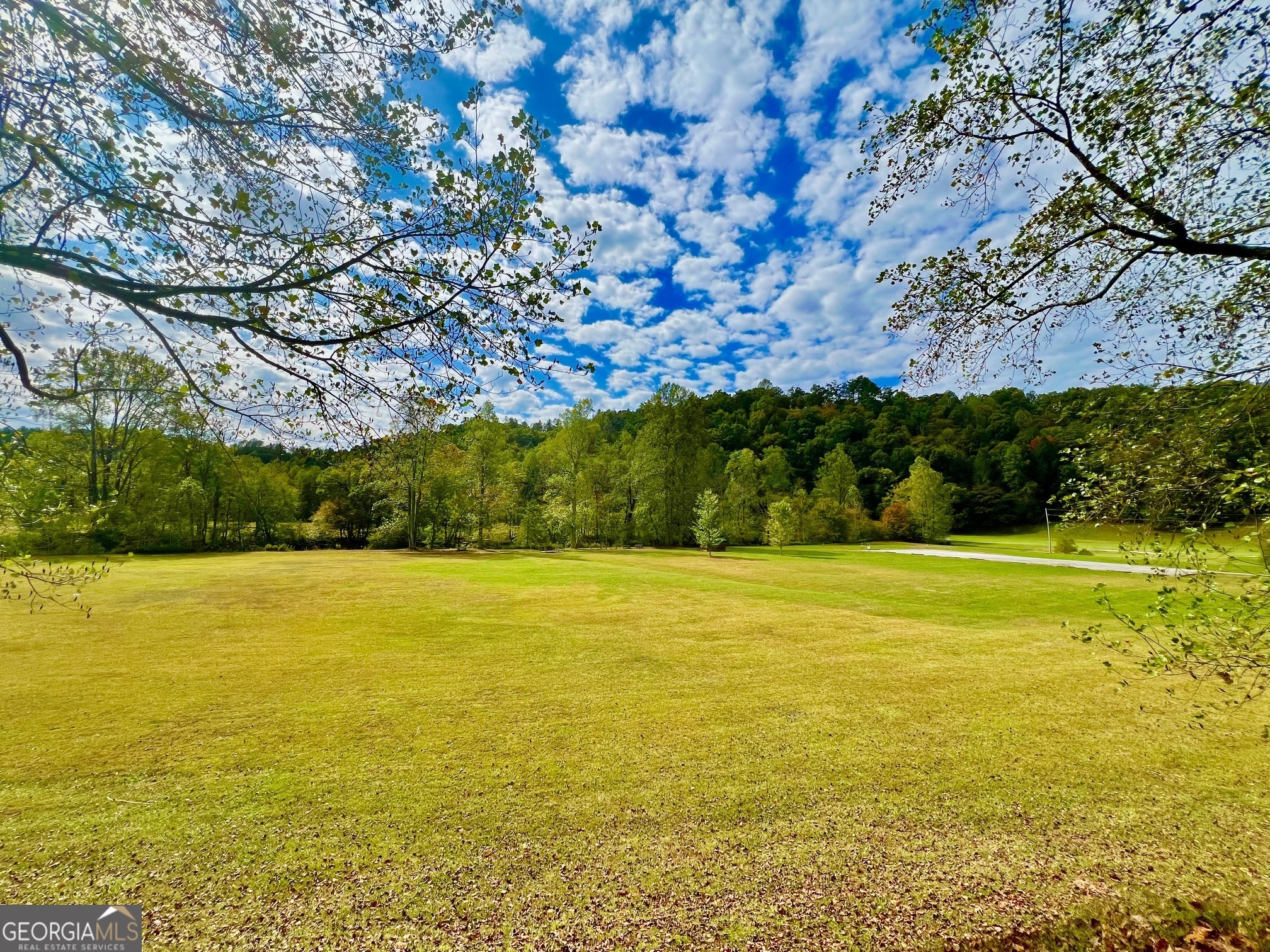 548 N Satsuma Court Ellijay GA 30540