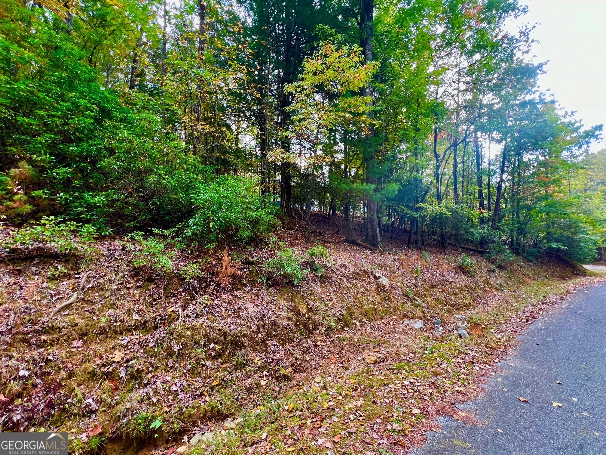 548 N Satsuma Court Ellijay GA 30540