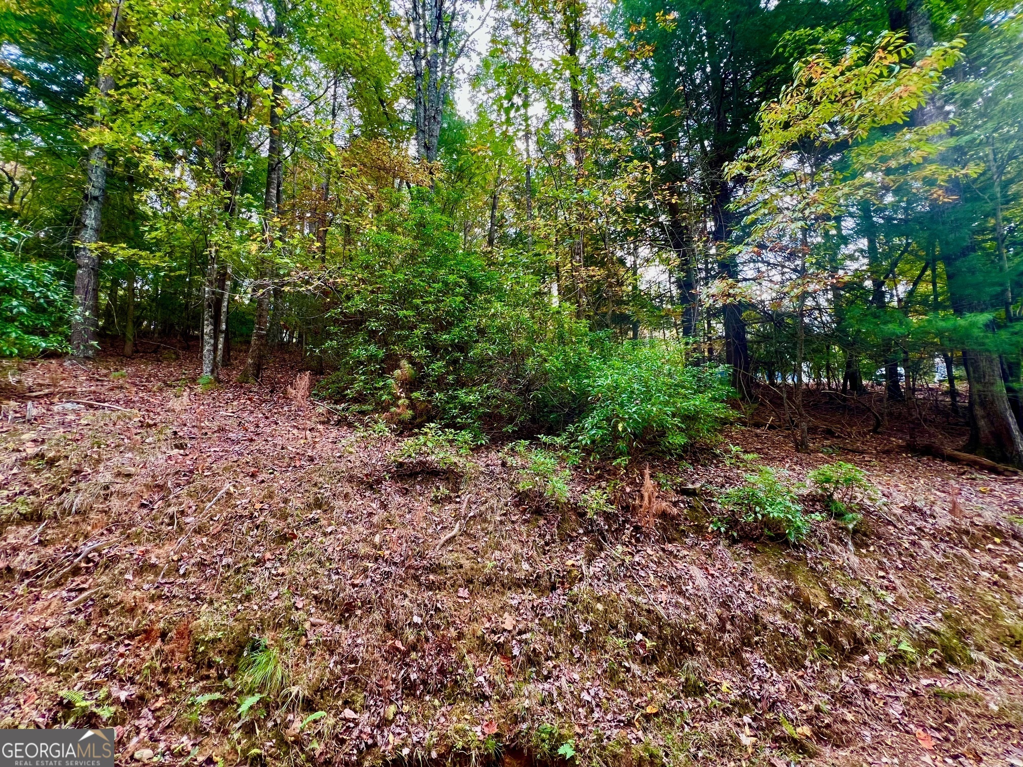 548 N Satsuma Court Ellijay GA 30540