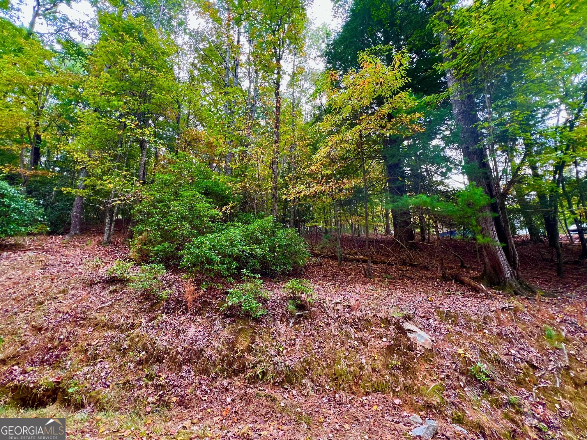548 N Satsuma Court Ellijay GA 30540