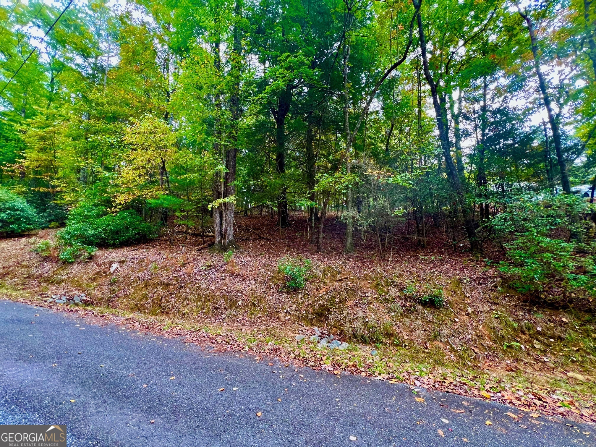 548 N Satsuma Court Ellijay GA 30540
