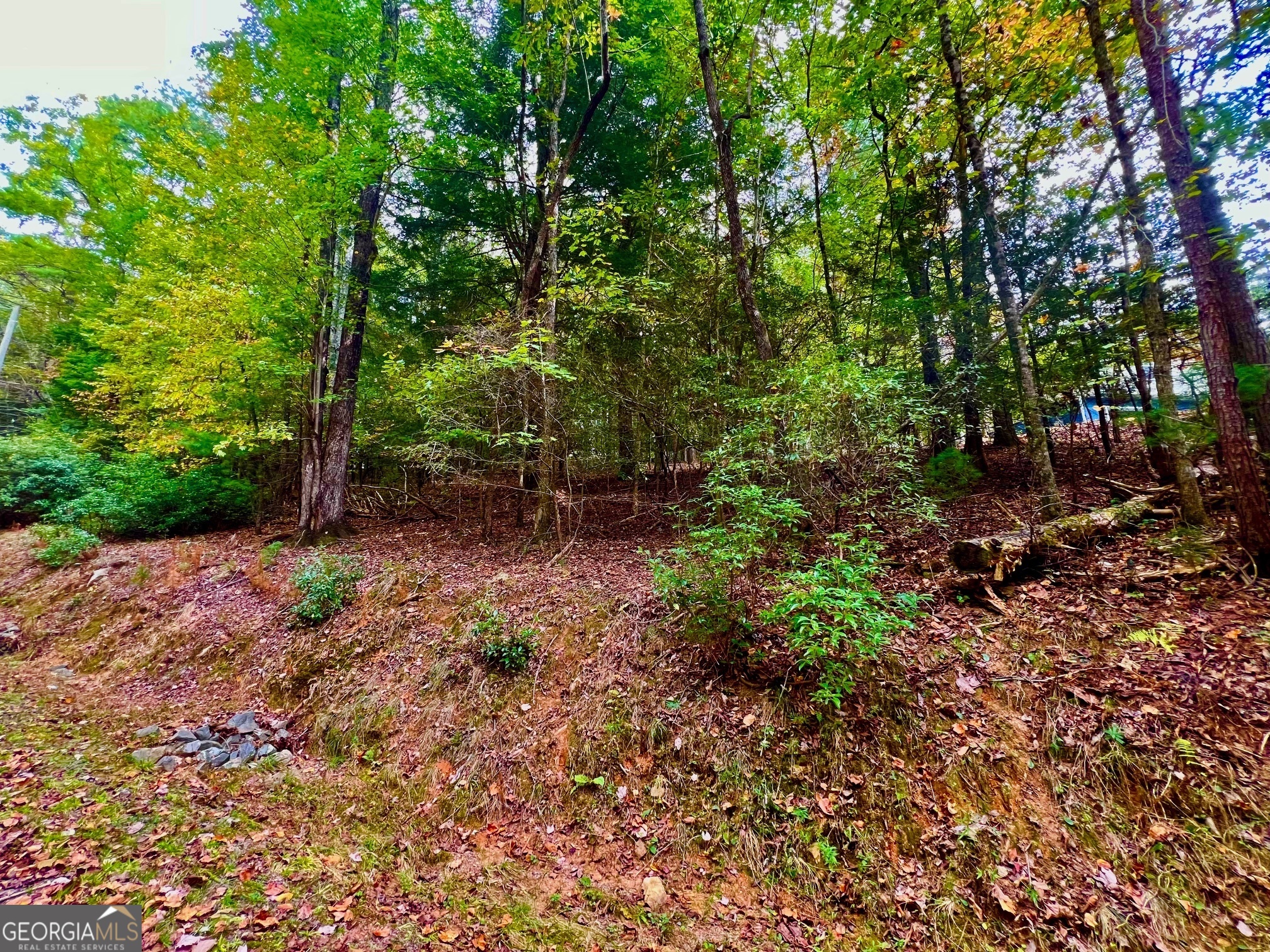 548 N Satsuma Court Ellijay GA 30540