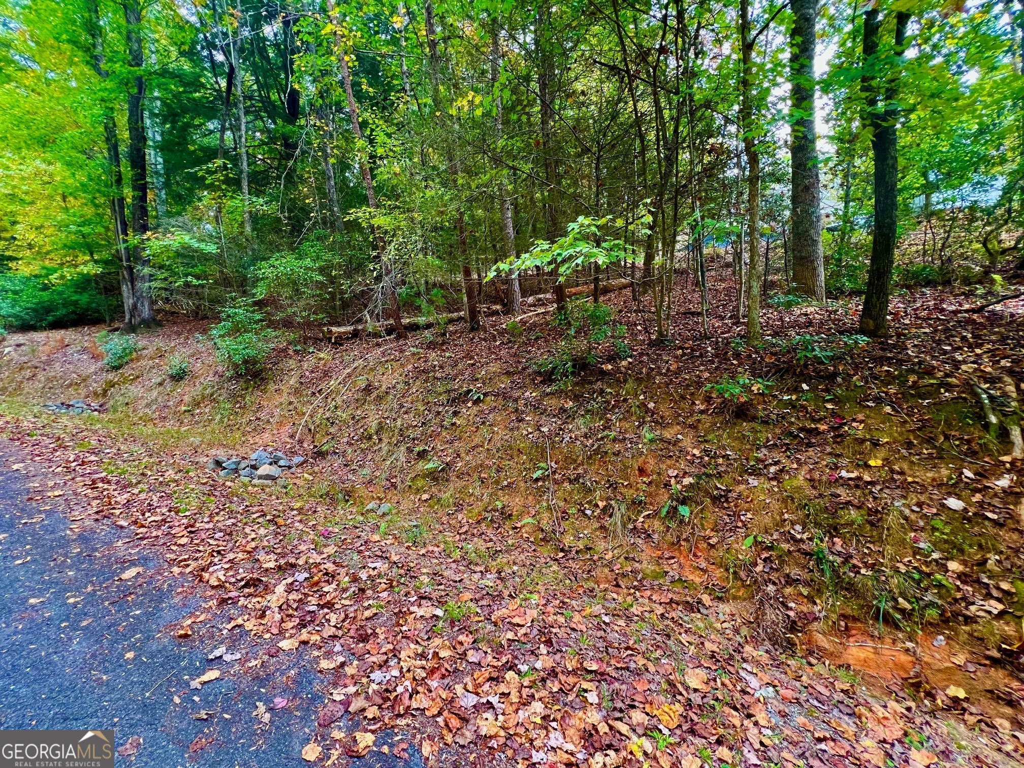 548 N Satsuma Court Ellijay GA 30540