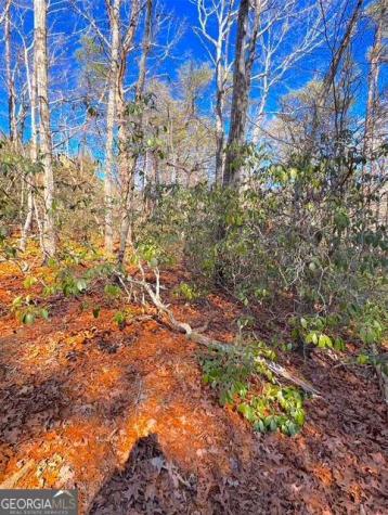 00 Horse Cove Court Jasper GA 30143
