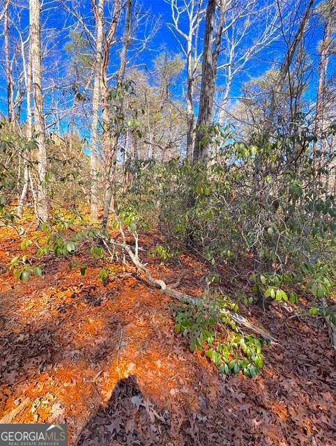 00 Horse Cove Court Jasper GA 30143