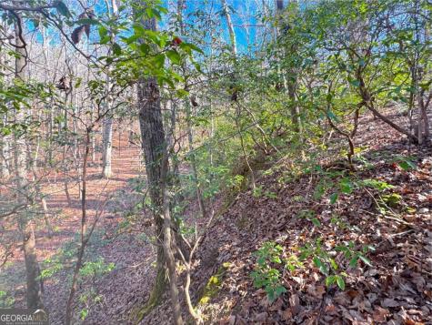 00 Horse Cove Court Jasper GA 30143