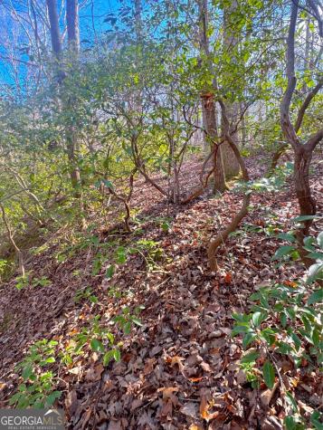 00 Horse Cove Court Jasper GA 30143