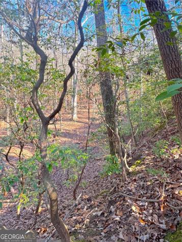 00 Horse Cove Court Jasper GA 30143
