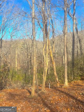 00 Horse Cove Court Jasper GA 30143