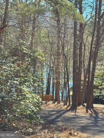 00 Horse Cove Court Jasper GA 30143