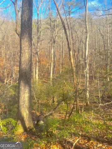 00 Horse Cove Court Jasper GA 30143