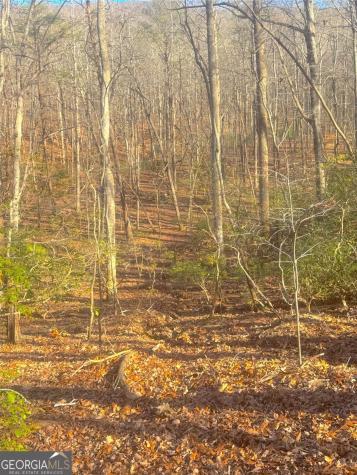 00 Horse Cove Court Jasper GA 30143