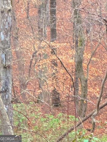 00 Horse Cove Court Jasper GA 30143