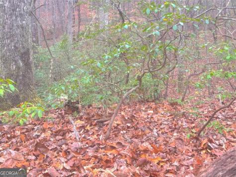 00 Horse Cove Court Jasper GA 30143