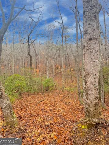 00 Horse Cove Court Jasper GA 30143