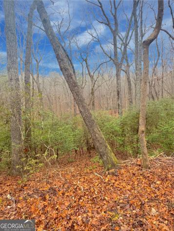 00 Horse Cove Court Jasper GA 30143
