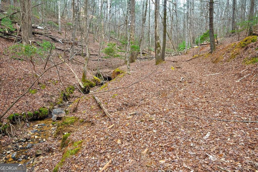 8 Acres Brunton Circle Ellijay GA 30540