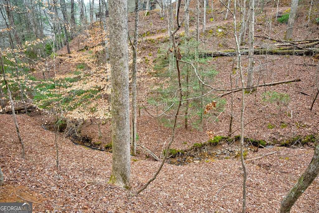 8 Acres Brunton Circle Ellijay GA 30540