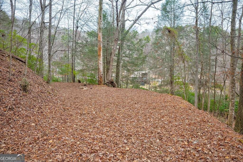 8 Acres Brunton Circle Ellijay GA 30540