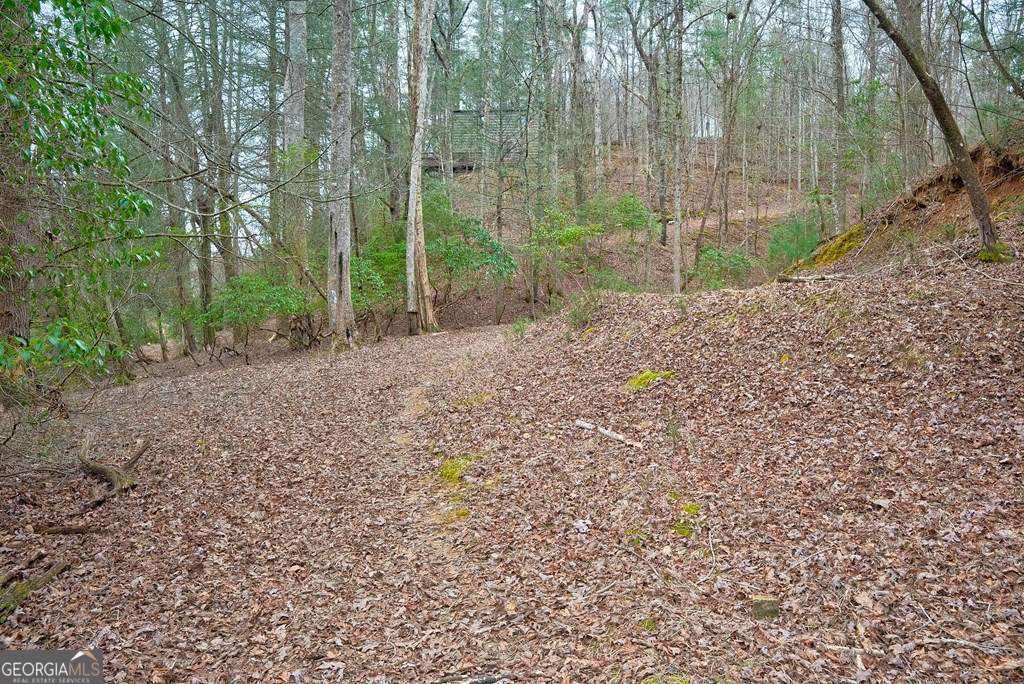 8 Acres Brunton Circle Ellijay GA 30540