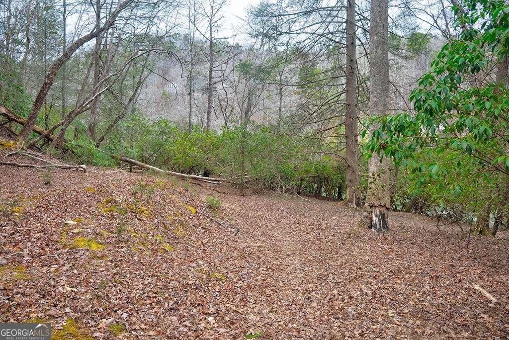 8 Acres Brunton Circle Ellijay GA 30540