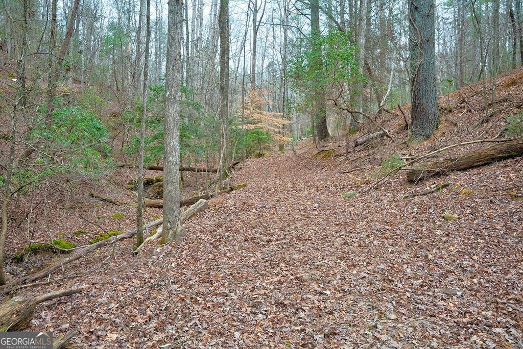 8 Acres Brunton Circle Ellijay GA 30540
