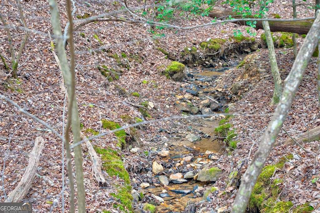 8 Acres Brunton Circle Ellijay GA 30540