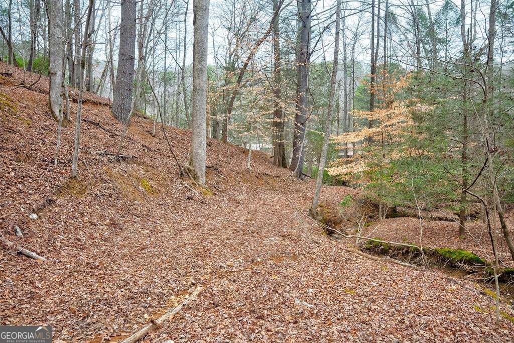 8 Acres Brunton Circle Ellijay GA 30540