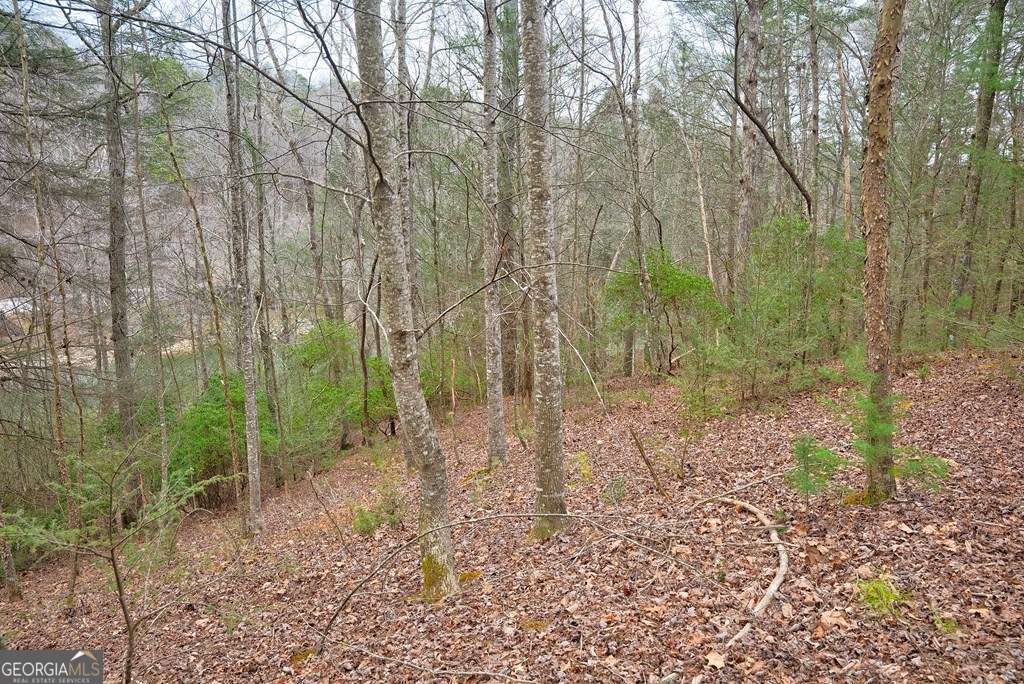 8 Acres Brunton Circle Ellijay GA 30540