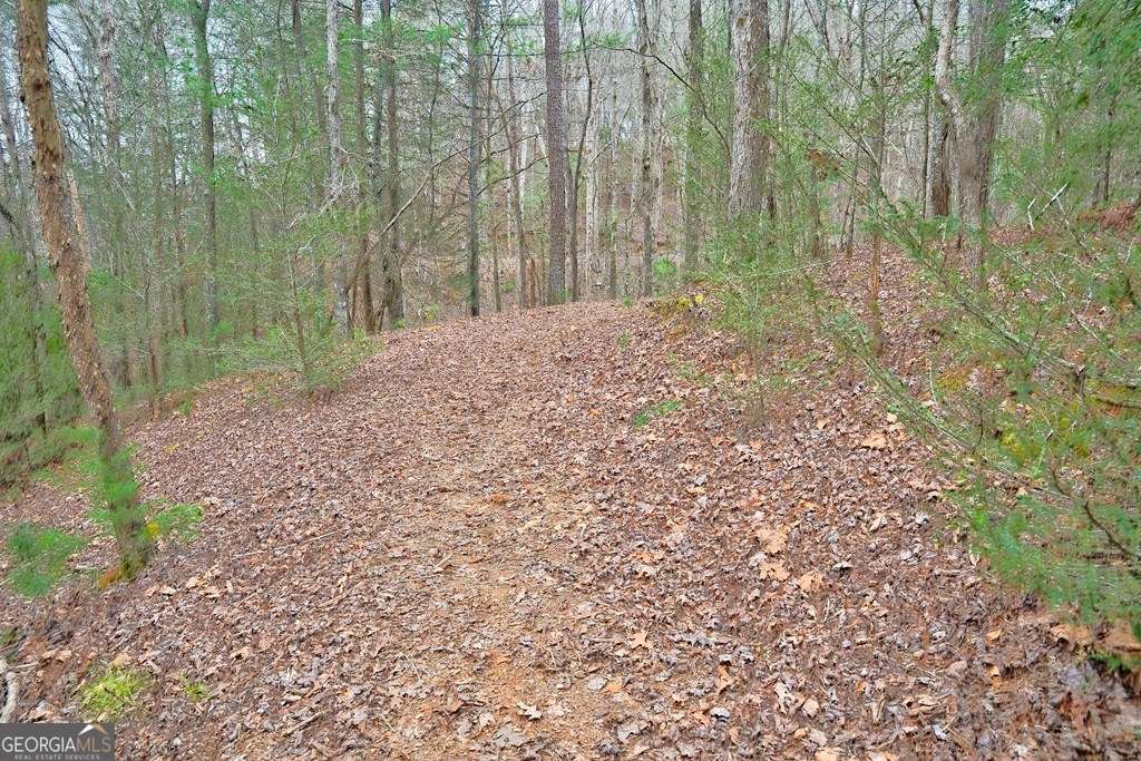 8 Acres Brunton Circle Ellijay GA 30540