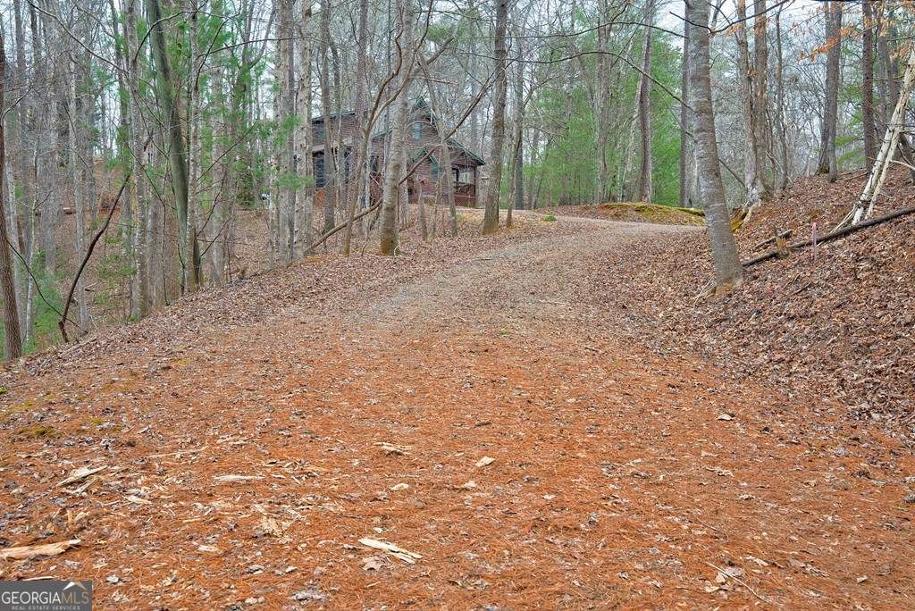 8 Acres Brunton Circle Ellijay GA 30540
