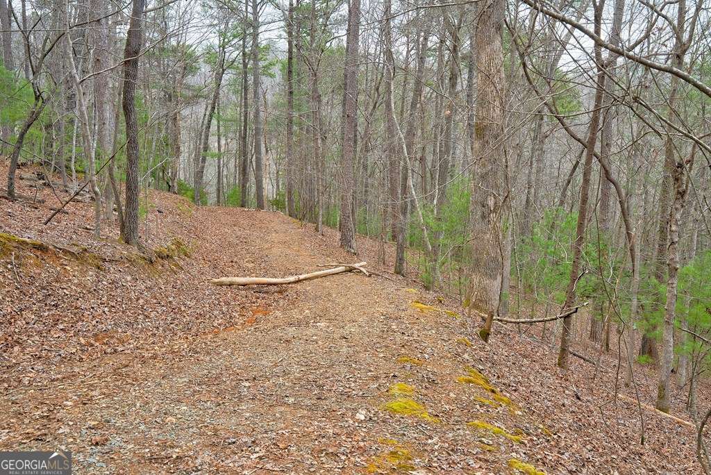 8 Acres Brunton Circle Ellijay GA 30540