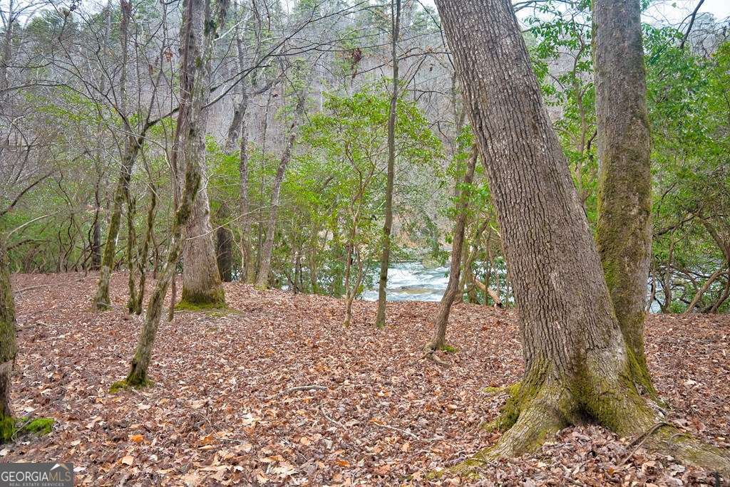 8 Acres Brunton Circle Ellijay GA 30540