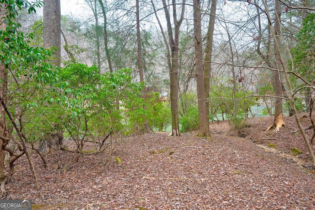 8 Acres Brunton Circle Ellijay GA 30540