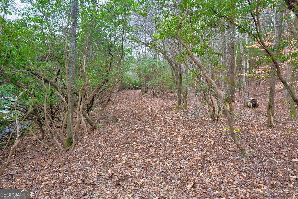 8 Acres Brunton Circle Ellijay GA 30540