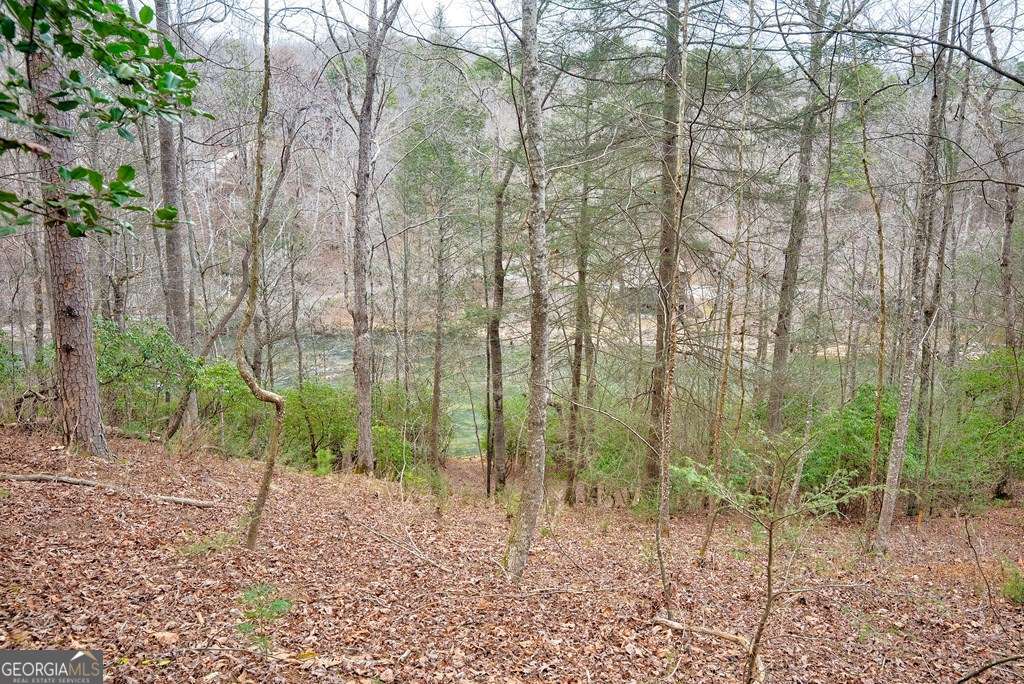 8 Acres Brunton Circle Ellijay GA 30540
