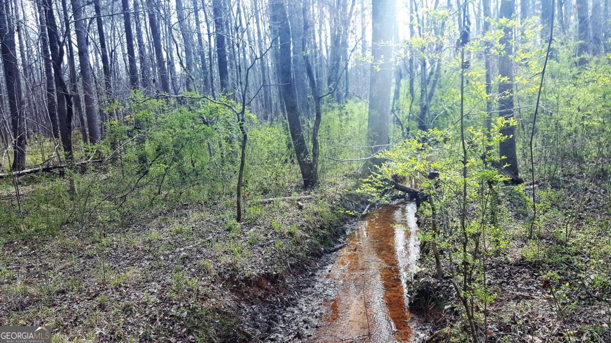 0 Stagecoach Road Stockbridge GA 30281