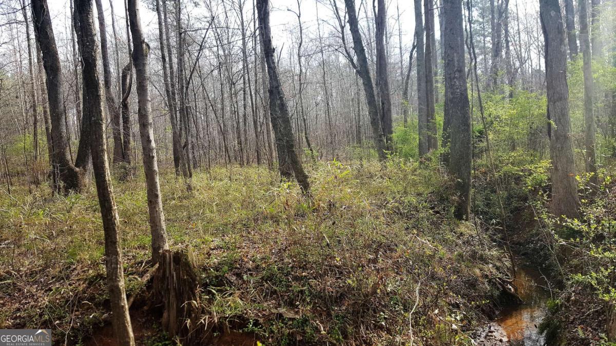 0 Stagecoach Road Stockbridge GA 30281