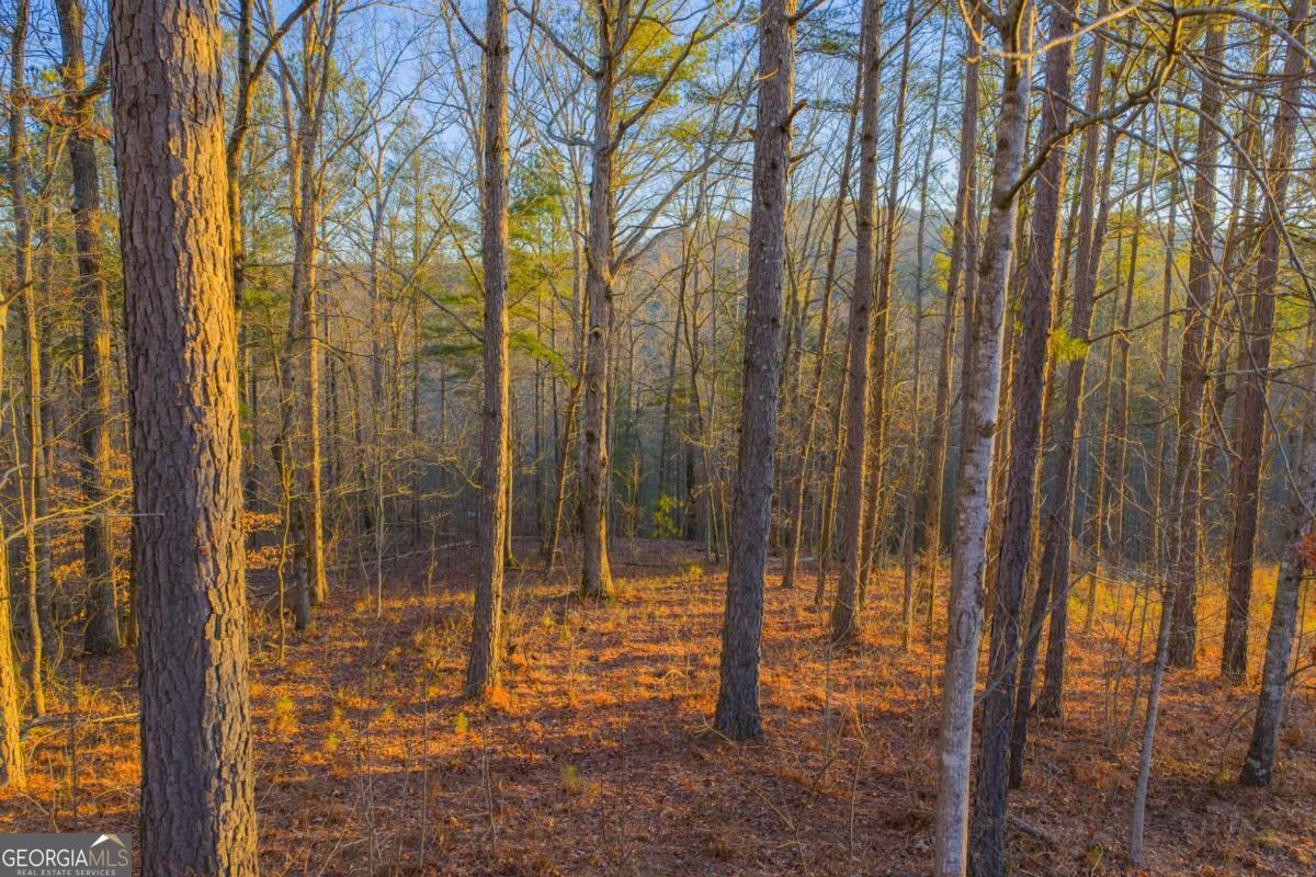 Lot 2 Blalock Mountain Road Talking Rock GA 30175