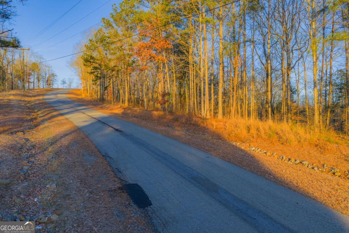 Lot 2 Blalock Mountain Road Talking Rock GA 30175
