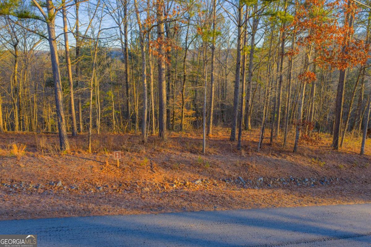 Lot 2 Blalock Mountain Road Talking Rock GA 30175