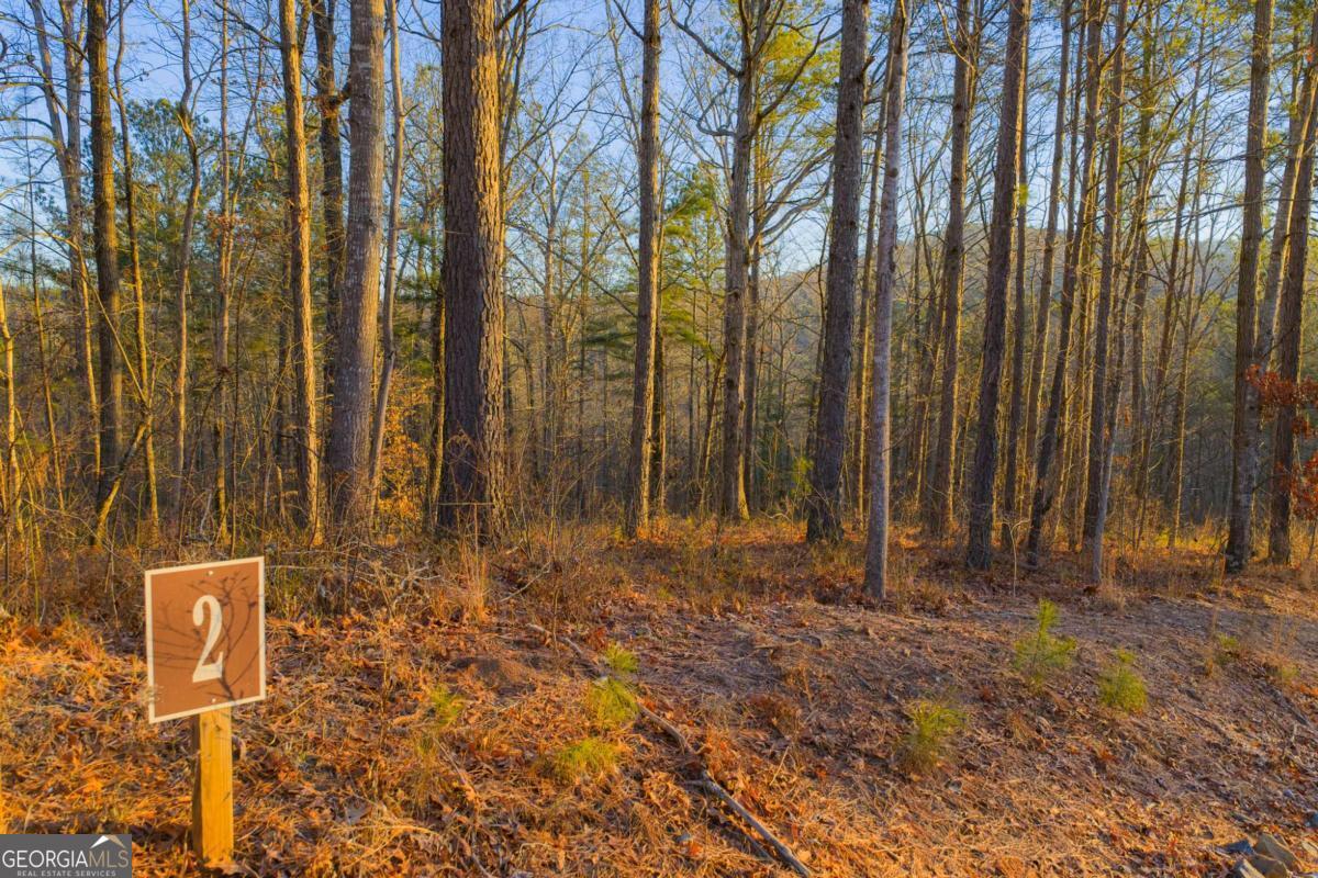Lot 2 Blalock Mountain Road Talking Rock GA 30175