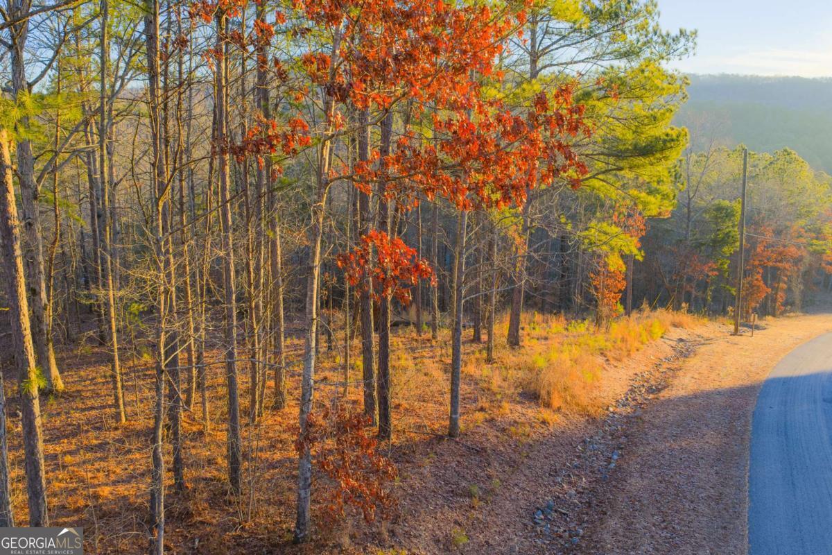 Lot 2 Blalock Mountain Road Talking Rock GA 30175